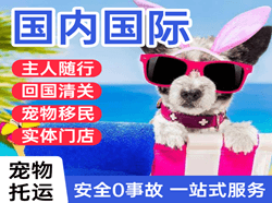 衡阳南岳机场货运国际宠物托运 【国